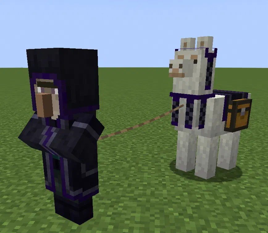 A wandering witch with a llama connected by a lead