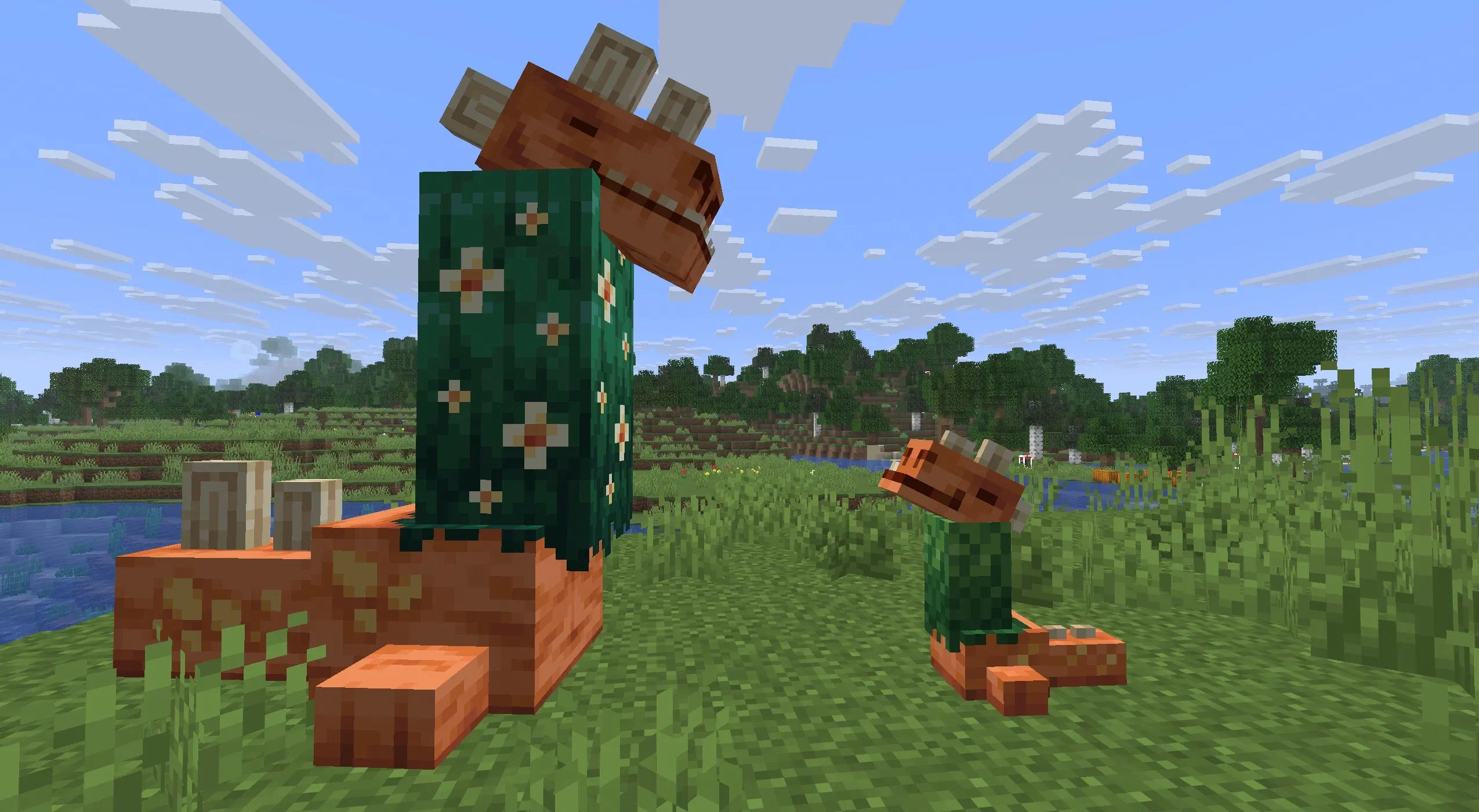 No thumbnail description provided