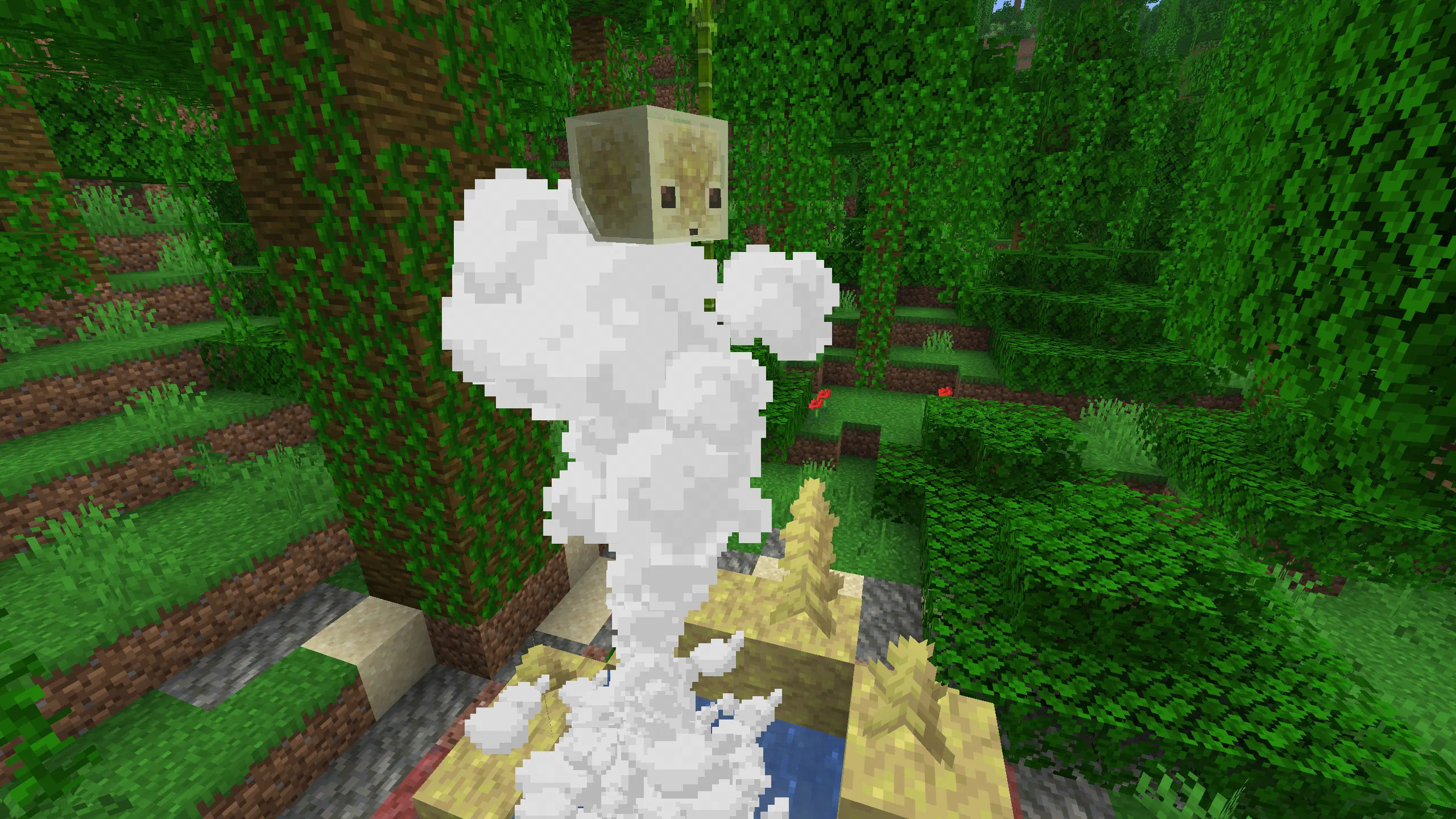 No thumbnail description provided