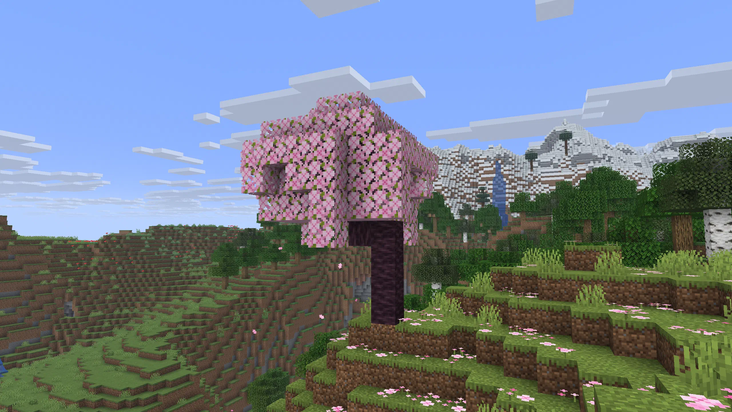 No thumbnail description provided