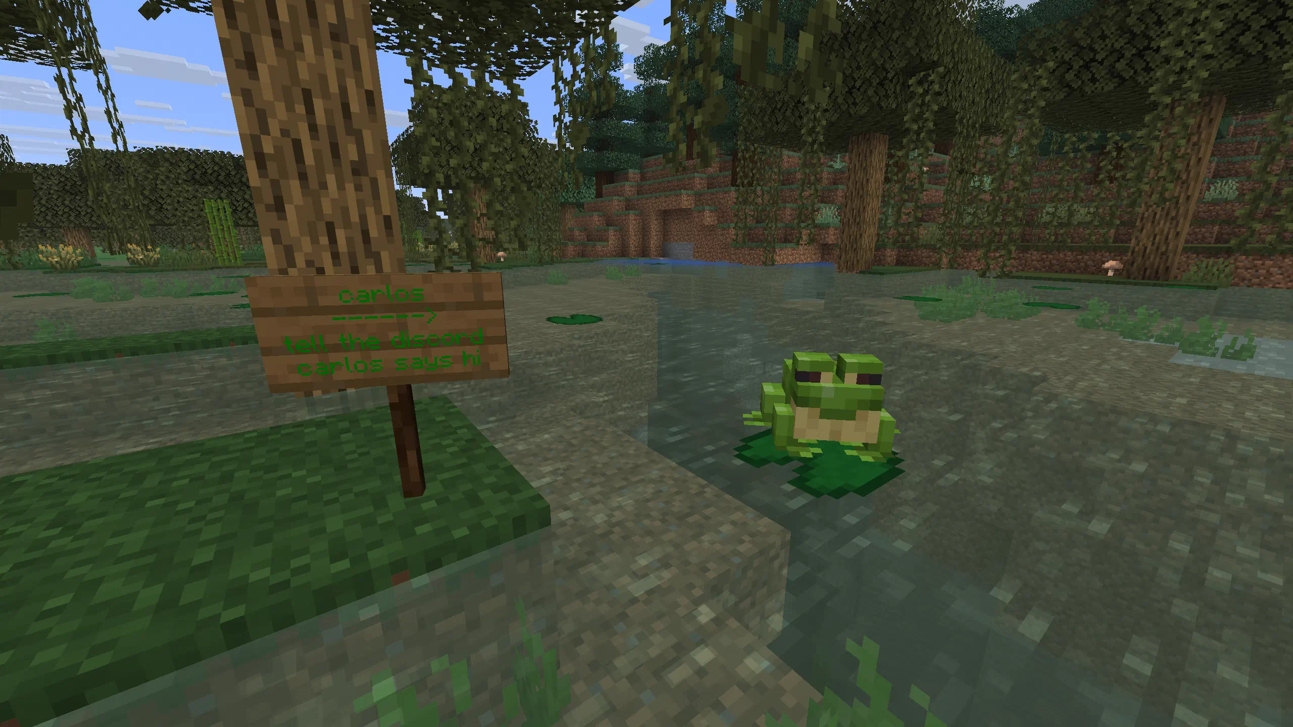 An image of a frog named Carlos blurred for sensational effect. Join our Discord!