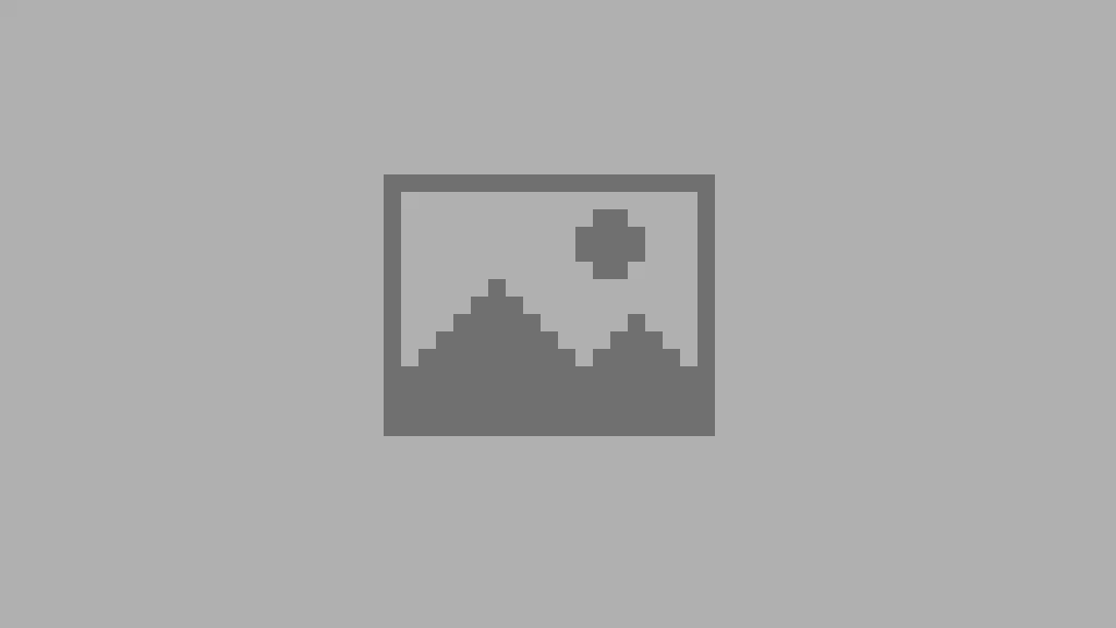 A blank missing thumbnail image