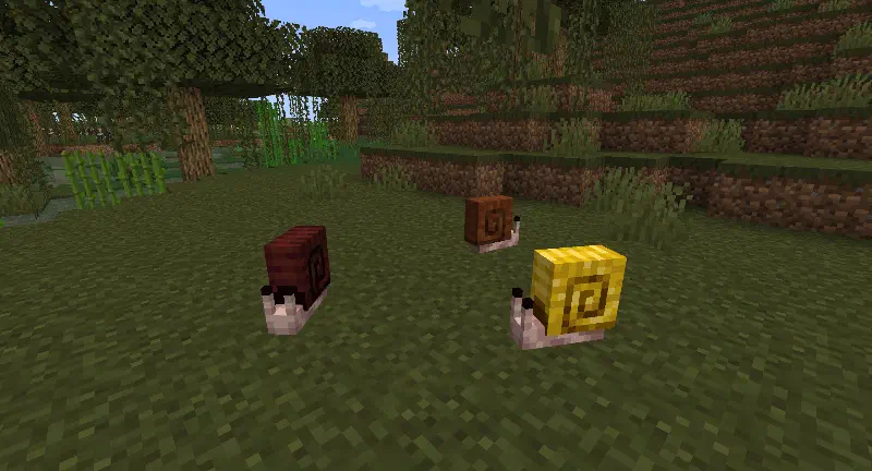 3 snails hanging out in a swamp